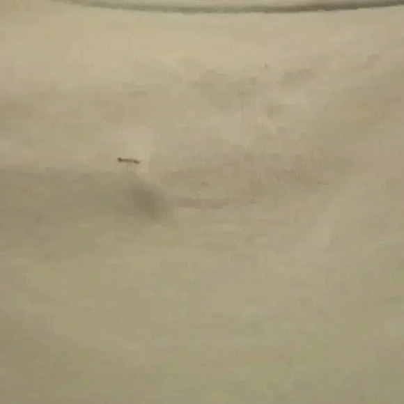 GUC - Faded Glory Lt Mint Green Short Sleeve T-Shirt - XL (16-18) - Picture 5 of 5